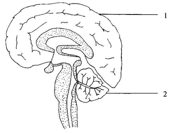 Question figure