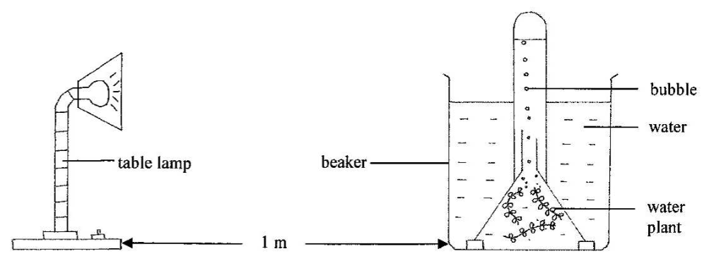 Question figure