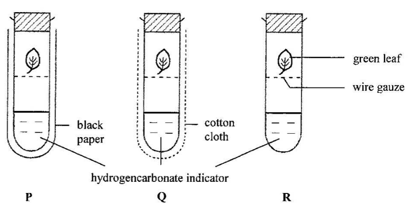 Question figure