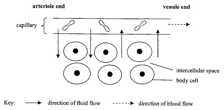 Shared diagram