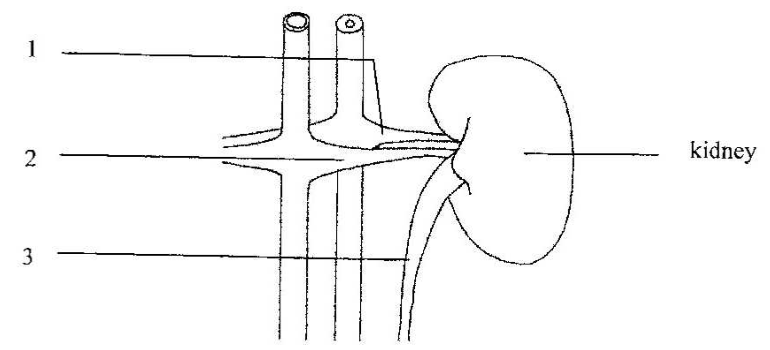 Question figure