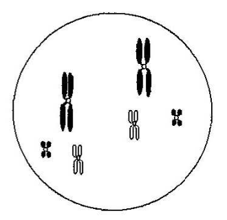 Question figure