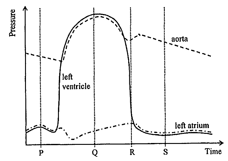 Question figure