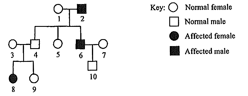 Question figure