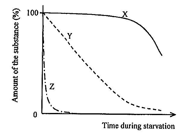Question figure