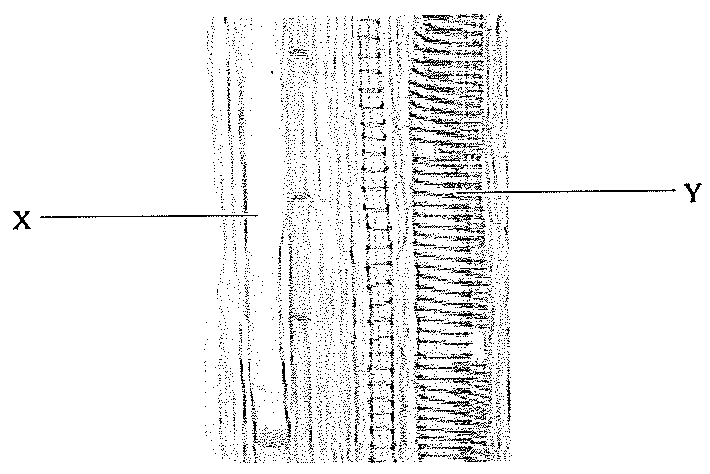 Question figure