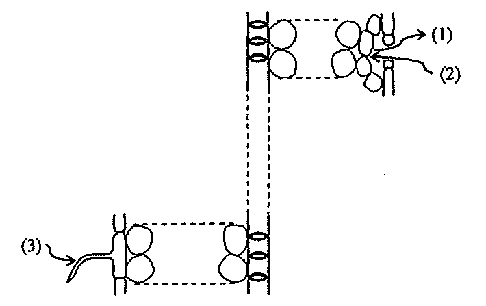 Question figure