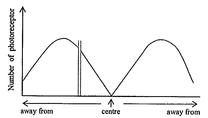 Question figure