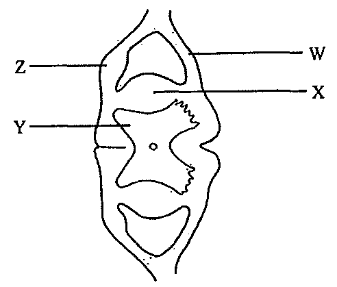 Question figure
