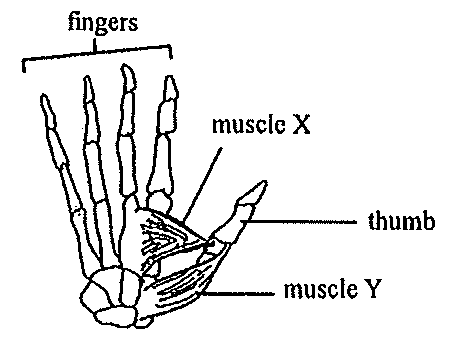 Question figure