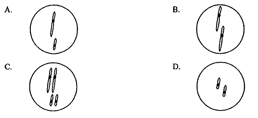 Question figure