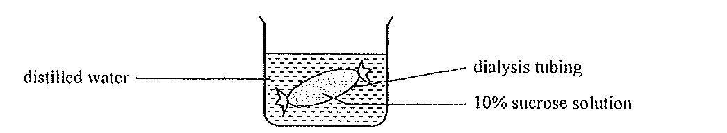 Question figure