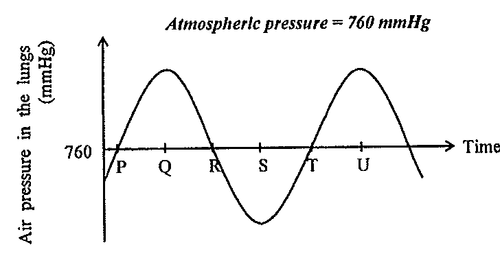 Question figure