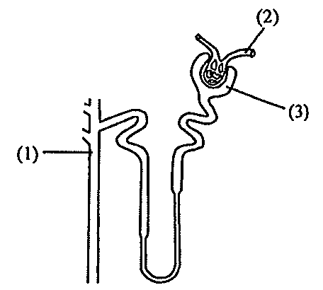Question figure