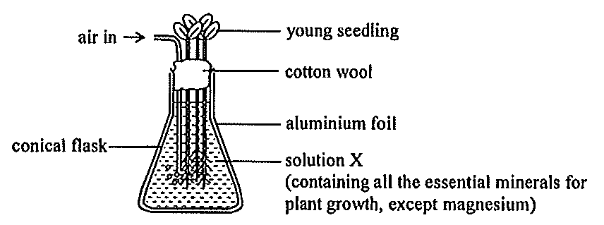 Question figure