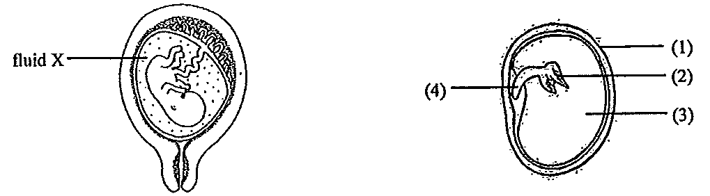 Question figure