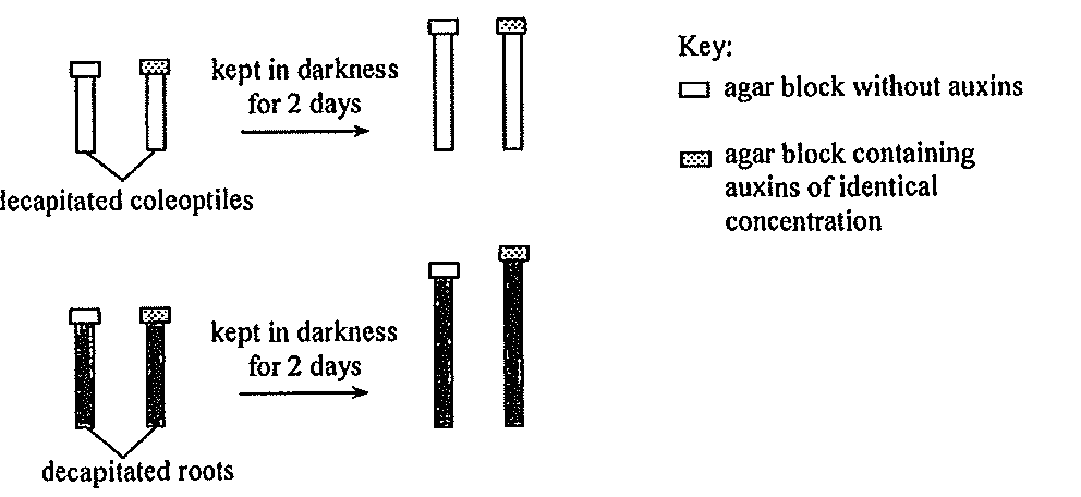 Question figure