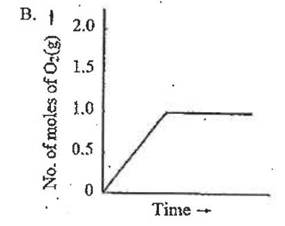 Option B