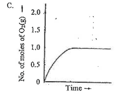 Option C