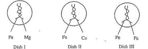 Shared figure