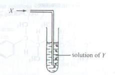 Gas X bubbled into a solution of Y