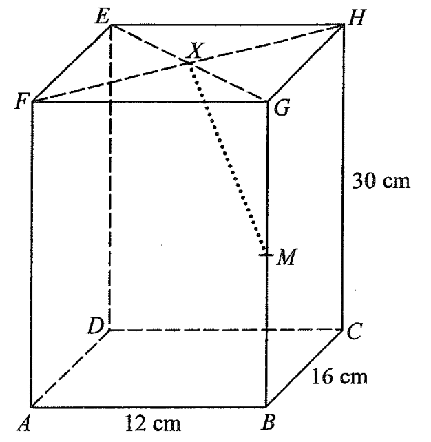 Question figure
