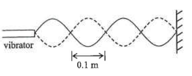Stationary wave on a string between a vibrator and a fixed end, two loops spanning 0.1 m