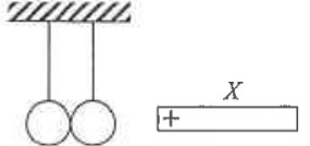 Two uncharged metal spheres in contact hanging by dry cotton threads with a positively charged rod X nearby