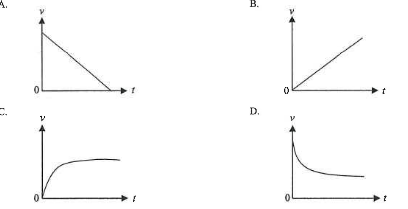 Four velocity-time graphs A to D: A straight line falling from a positive value to zero; B straight line through the origin; C curve rising and levelling off; D curve falling and levelling off