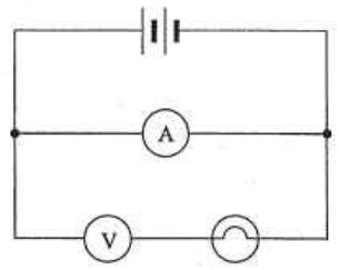 Battery, ammeter in parallel with a branch containing a voltmeter in series with a light bulb