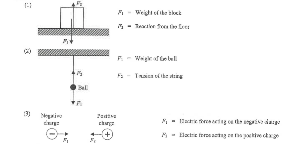 Three cases: (1) block on the floor, F1 weight of the block and F2 reaction from the floor; (2) ball hanging on a string, F1 weight of the ball and F2 tension of the string; (3) negative and positive charges attracting each other, F1 and F2 electric forces