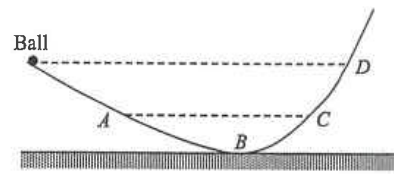 Smooth curved rail with points A, B, C and D; ball released from rest at the left end at the level of D