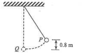 Pendulum bob released from point P, 0.8 m above its lowest position Q