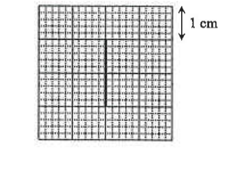 CRO screen showing a vertical line trace, grid squares of 1 cm