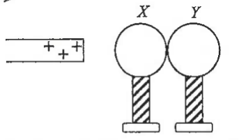 Positively charged rod near two insulated uncharged metal spheres X and Y in contact