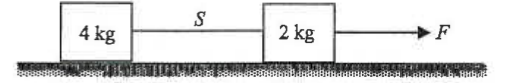 A 4 kg block and a 2 kg block joined by string S on a smooth surface, force F pulling the 2 kg block to the right