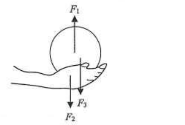 A hand lifting a ball upwards, with force arrows F1 upward on the ball, F2 and F3 downward