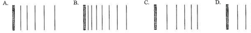 Four wave patterns A to D with different wavefront spacings
