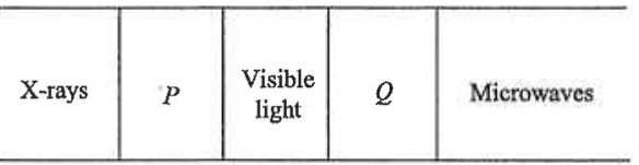 Part of the electromagnetic spectrum: X-rays, P, visible light, Q, microwaves