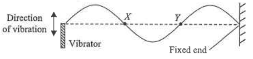 Stationary wave on a string between a vibrator and a fixed end, with particles X and Y marked