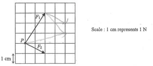 Grid showing forces F1 and F2 acting on a particle P; scale 1 cm represents 1 N