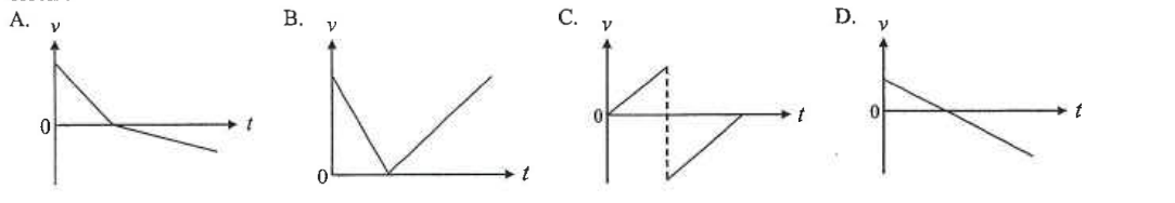 Four velocity-time graphs A to D