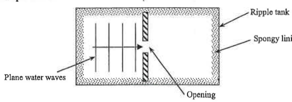 Ripple tank with spongy lining, plane water waves travelling towards an opening in a barrier