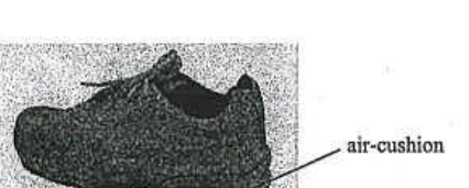 Photograph of an air-cushioned shoe with the air-cushion labelled