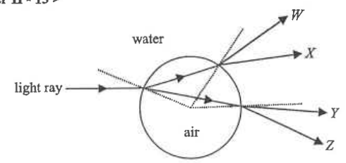 Light ray in water incident on an air bubble with possible emergent rays W, X, Y and Z