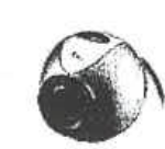 Photograph of a web cam