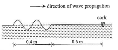 Water wave travelling towards a floating cork, with 0.4 m and 0.6 m distances marked