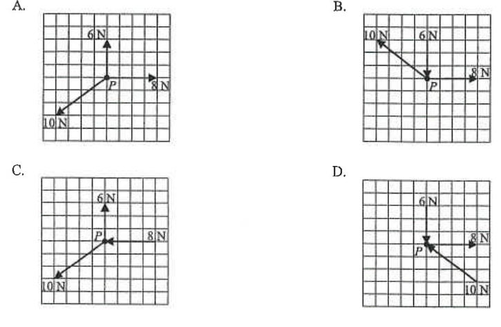 Four grid diagrams A to D, each showing three forces of 6 N, 8 N and 10 N acting on a point P