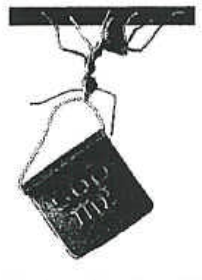 Photograph of an ant hanging upside down from the ceiling holding a block in its jaws