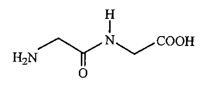 結構 (2):H₂N–CH₂–C(=O)–NH–CH₂–COOH,由兩個甘氨酸單元組成的二肽